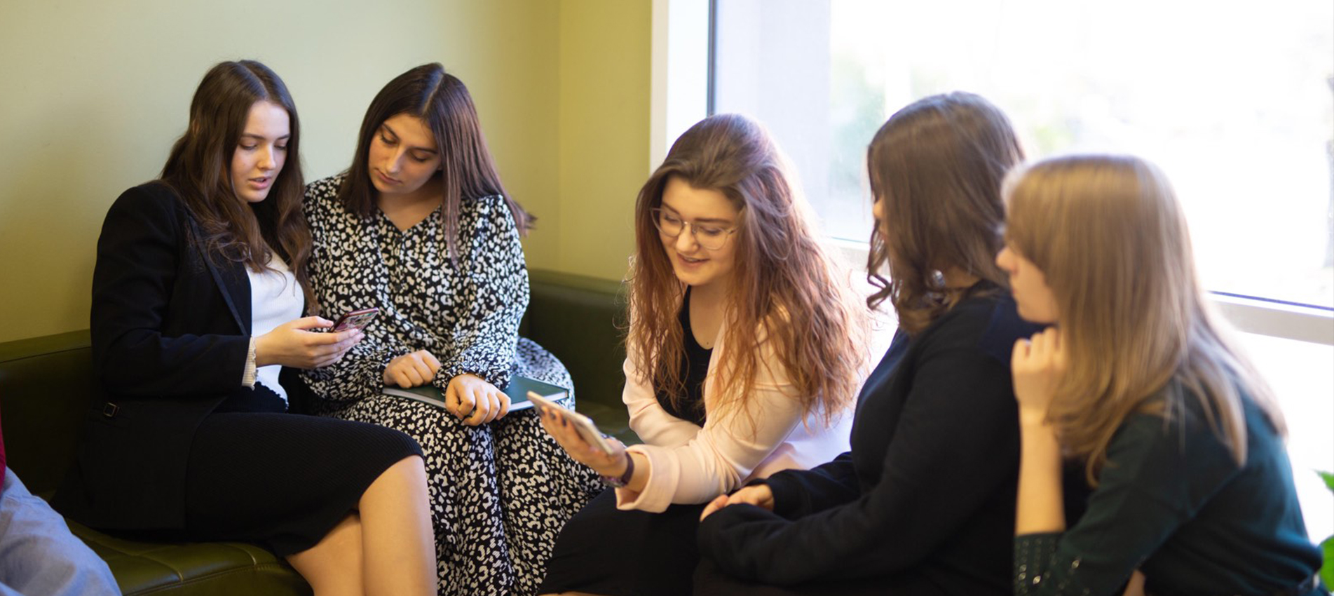 title_69339d8111bfc9195557281764990337