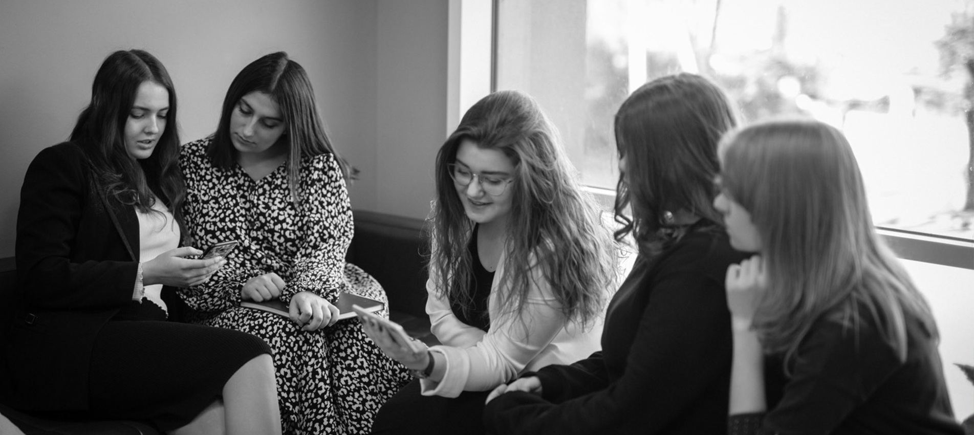 title_69339d8111be314819129871764990337